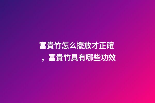 富貴竹怎么擺放才正確，富貴竹具有哪些功效